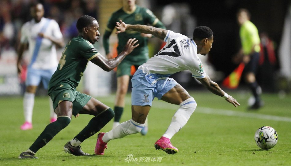 他将自己的 他将自己的