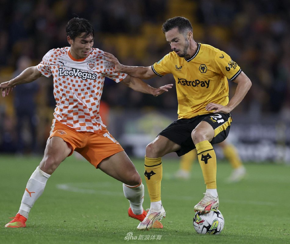 我可以帮你 我可以帮你